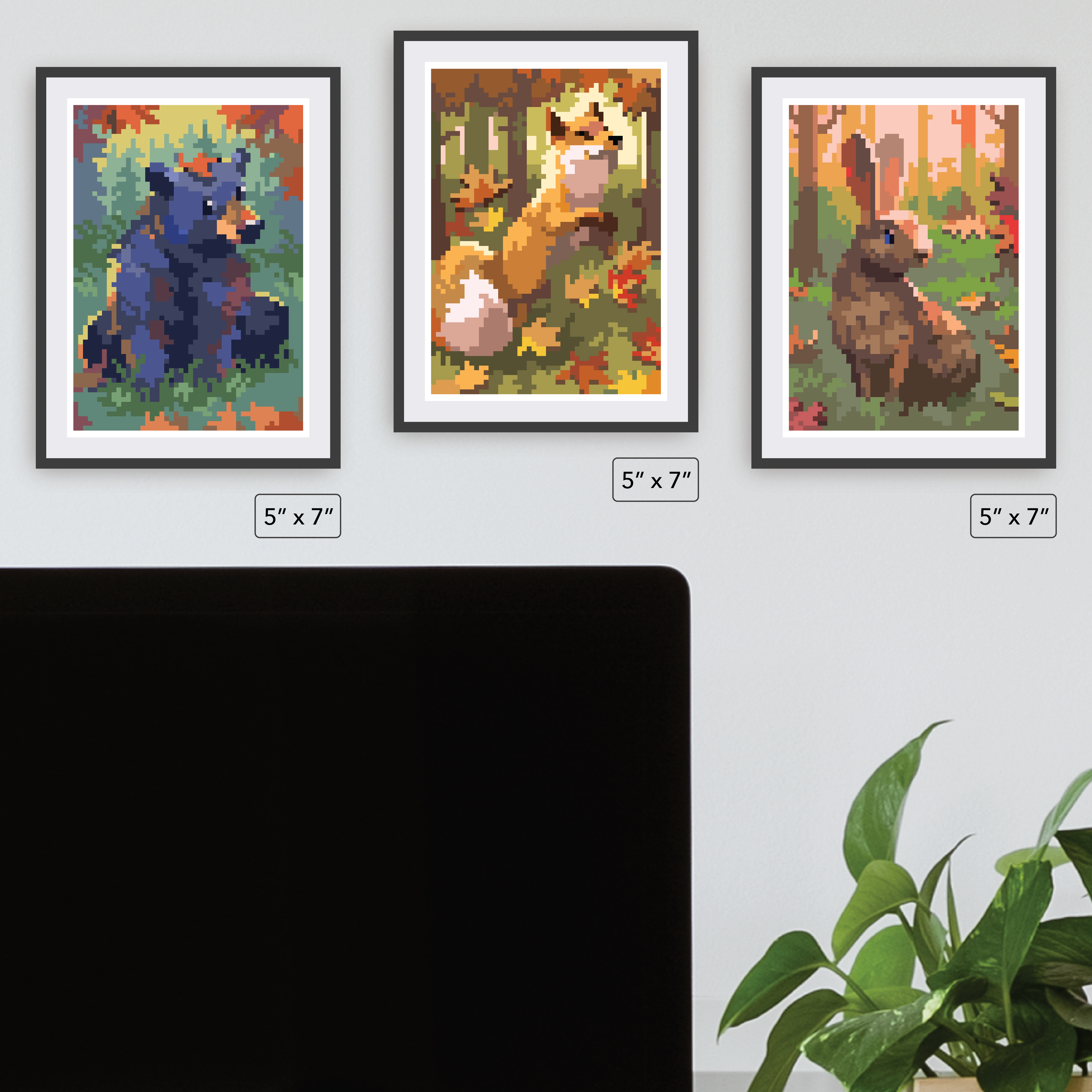 Forest Wildlife Collectible Cards
