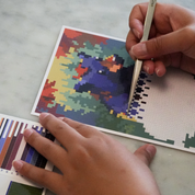 Forest Wildlife Collectible Cards
