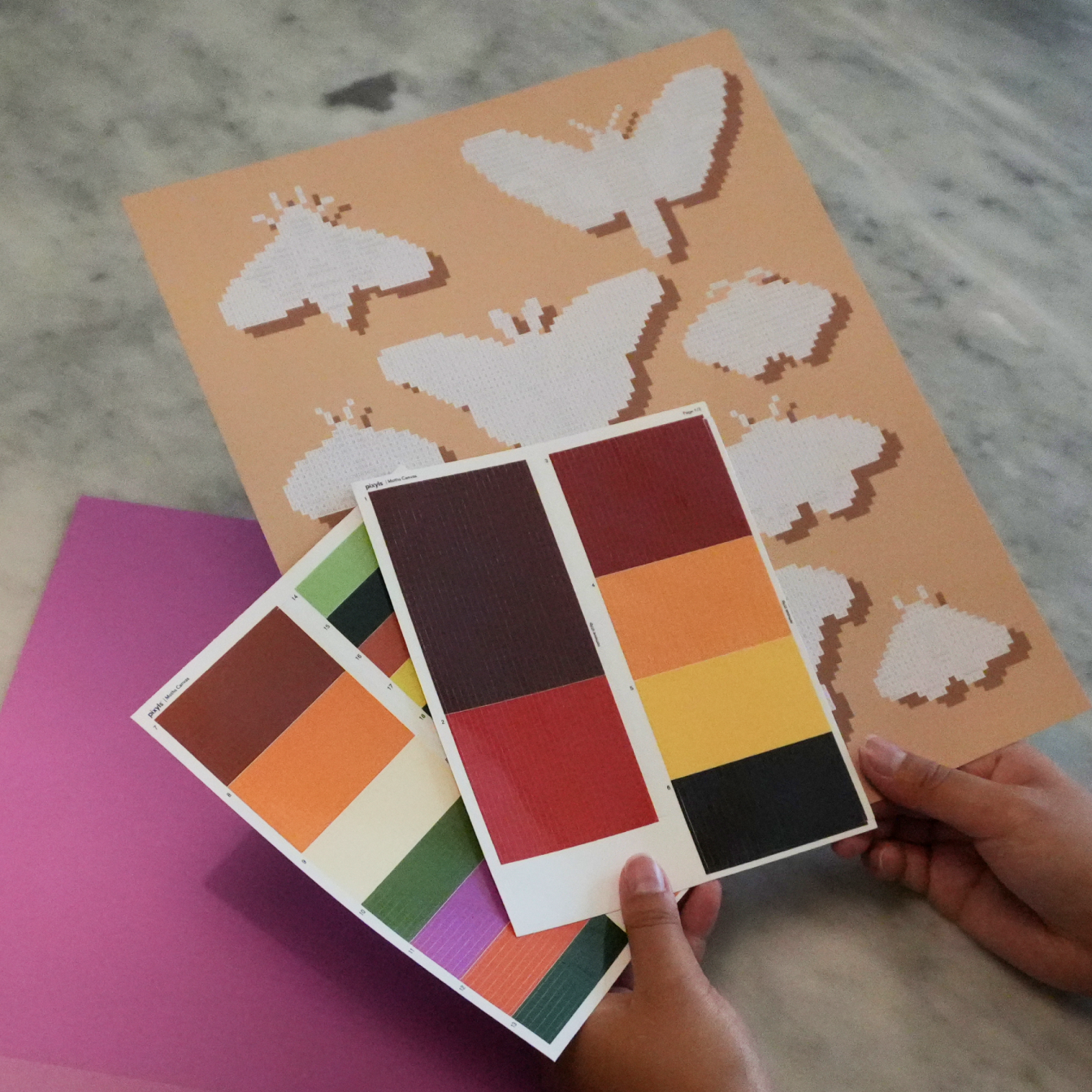 Moths Canvas