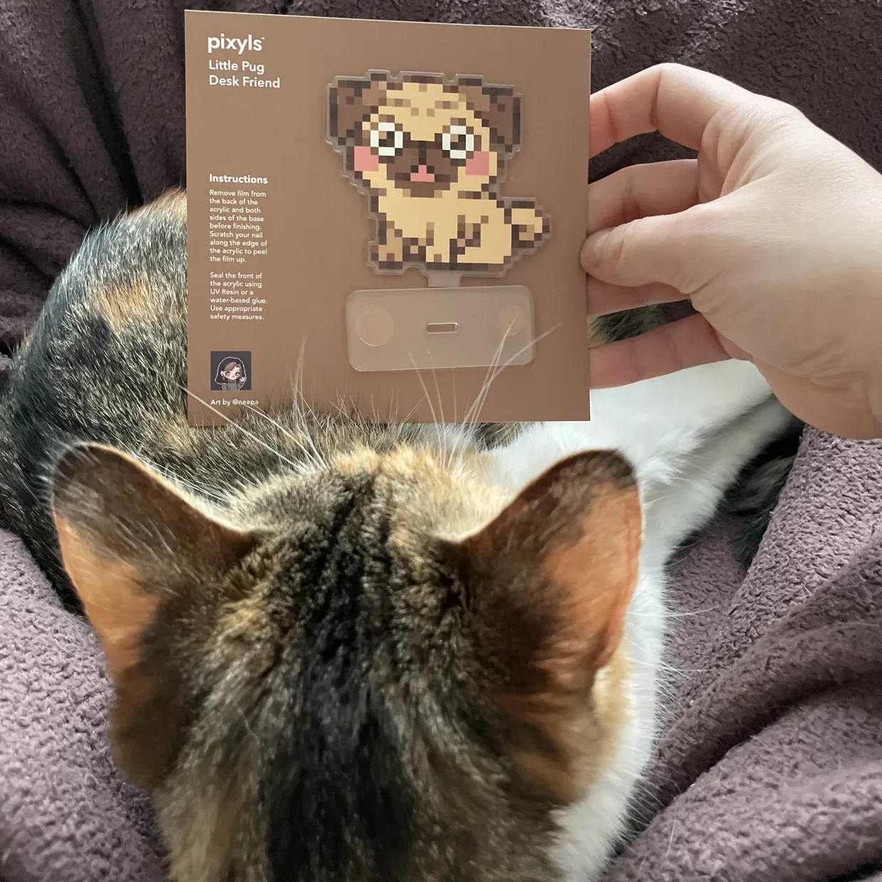 Cats & Dogs Desk Friends Blind Box