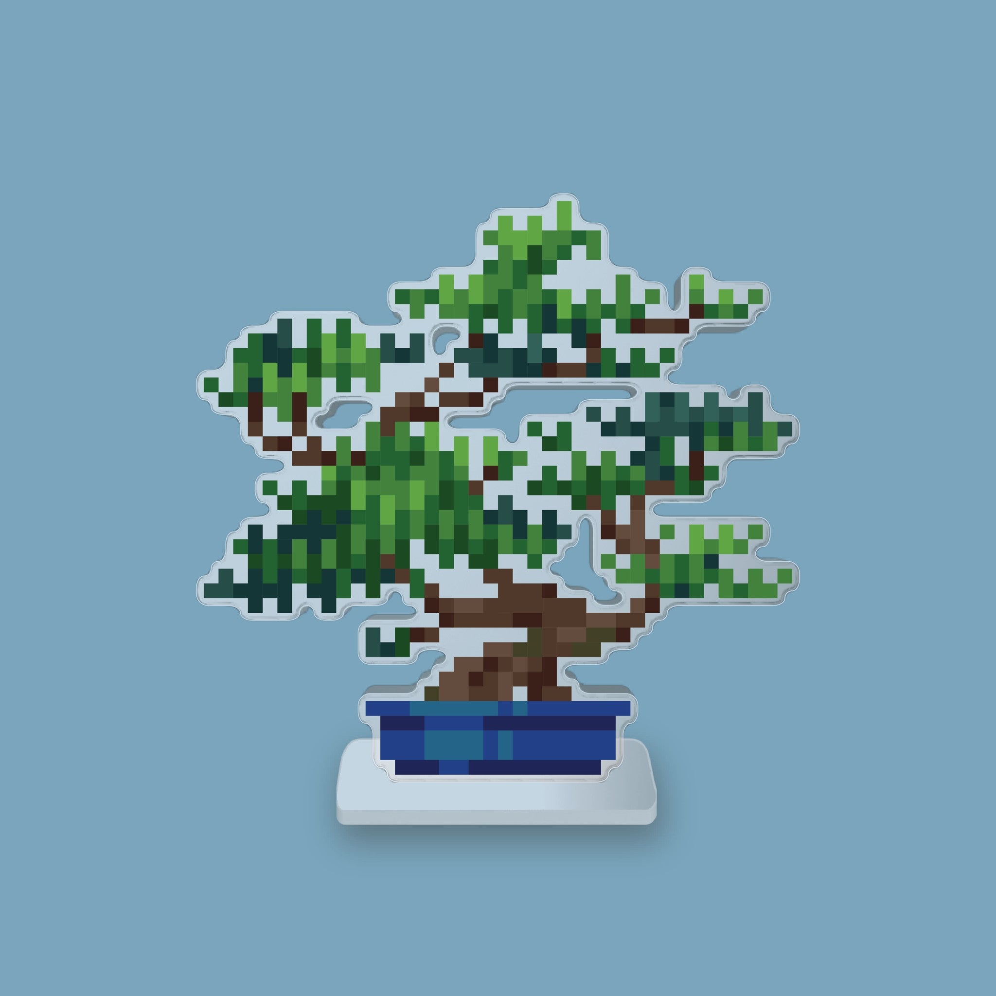 Pine Bonsai Desk Friend