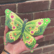 Meadow Butterfly Acrylic Wall Art