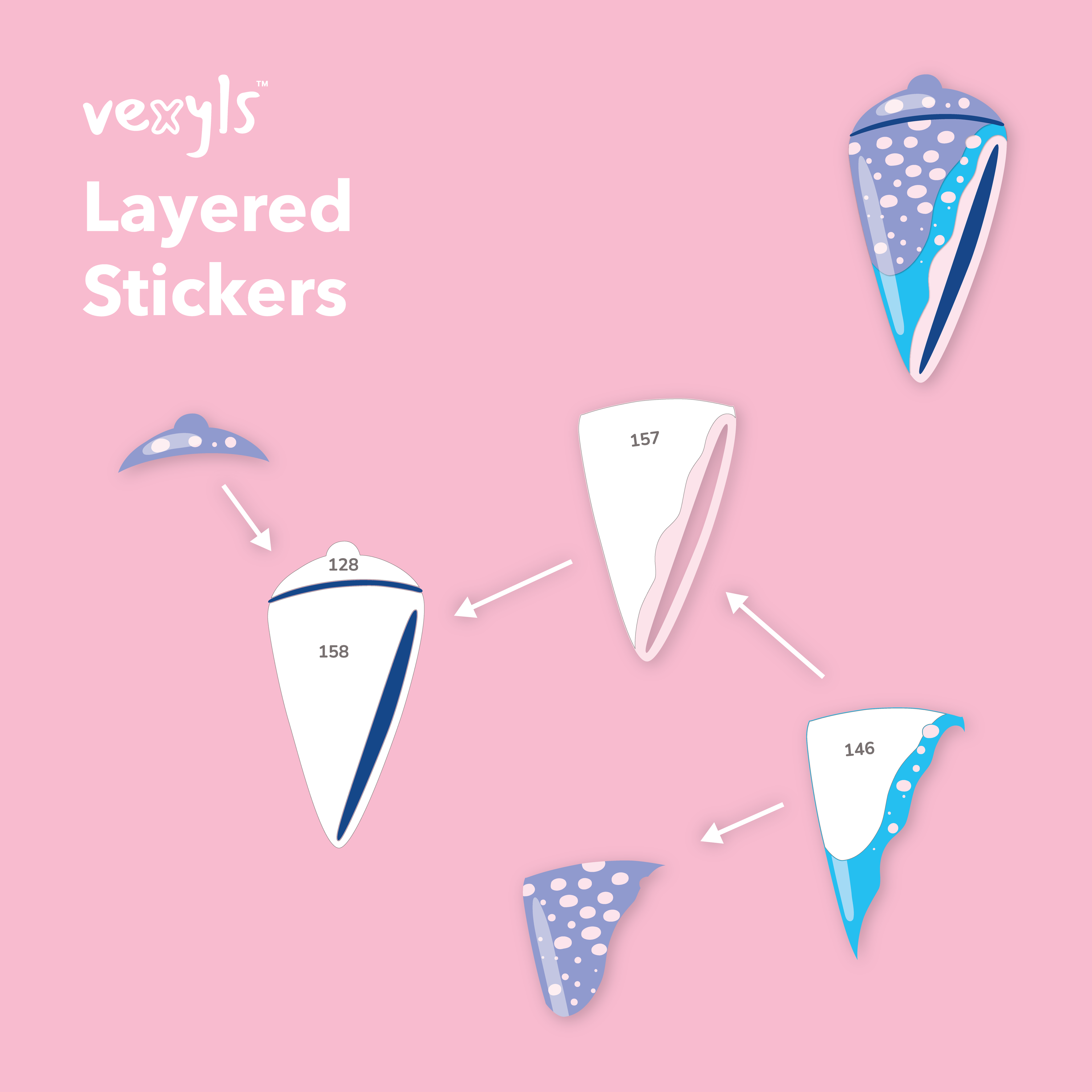 Summer Shells Canvas